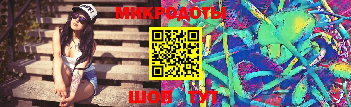 Псилоцибиновые грибы GOLDEN TEACHER Рославль