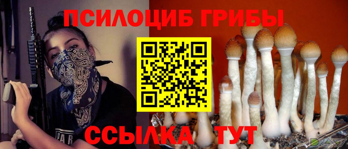 Рославль  Галлюциногенные грибы прущие грибы  Вход с VPN  Галлюциногенные грибы Magic Shrooms 
